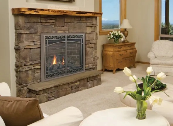 gas fireplace with screen doors